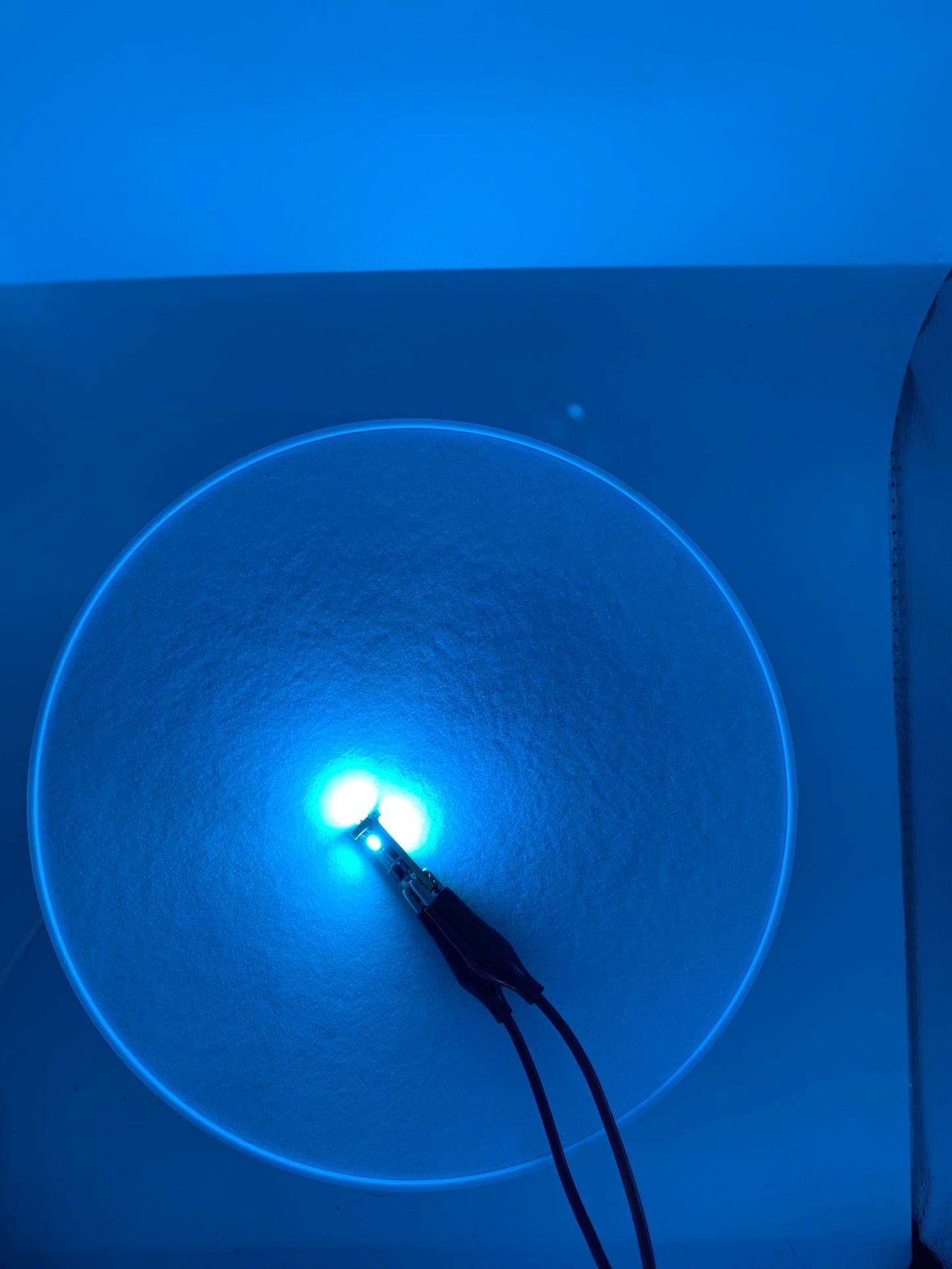 20Twenty Lighting T10 LED Bulbs