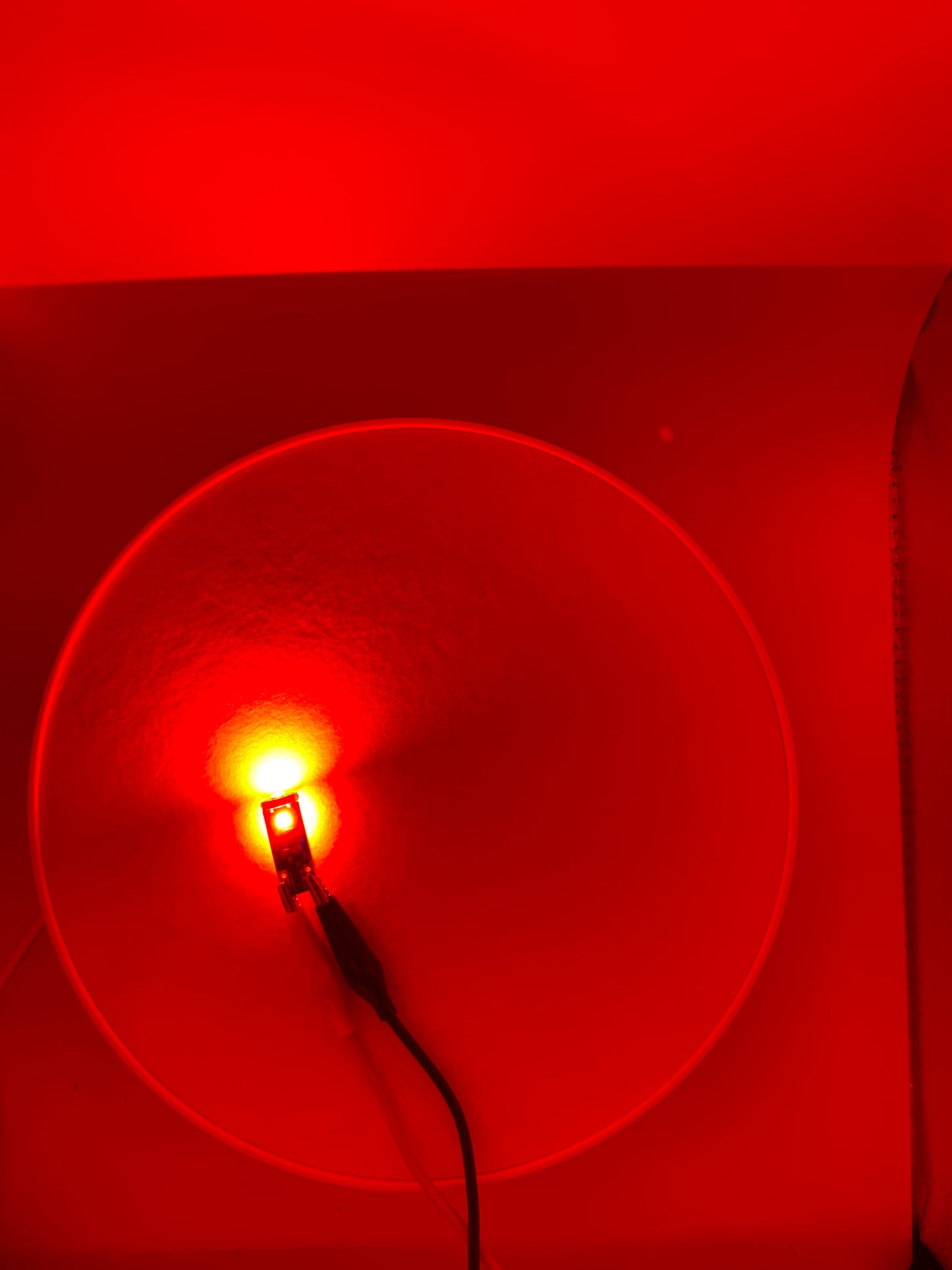 20Twenty Lighting T10 LED Bulbs