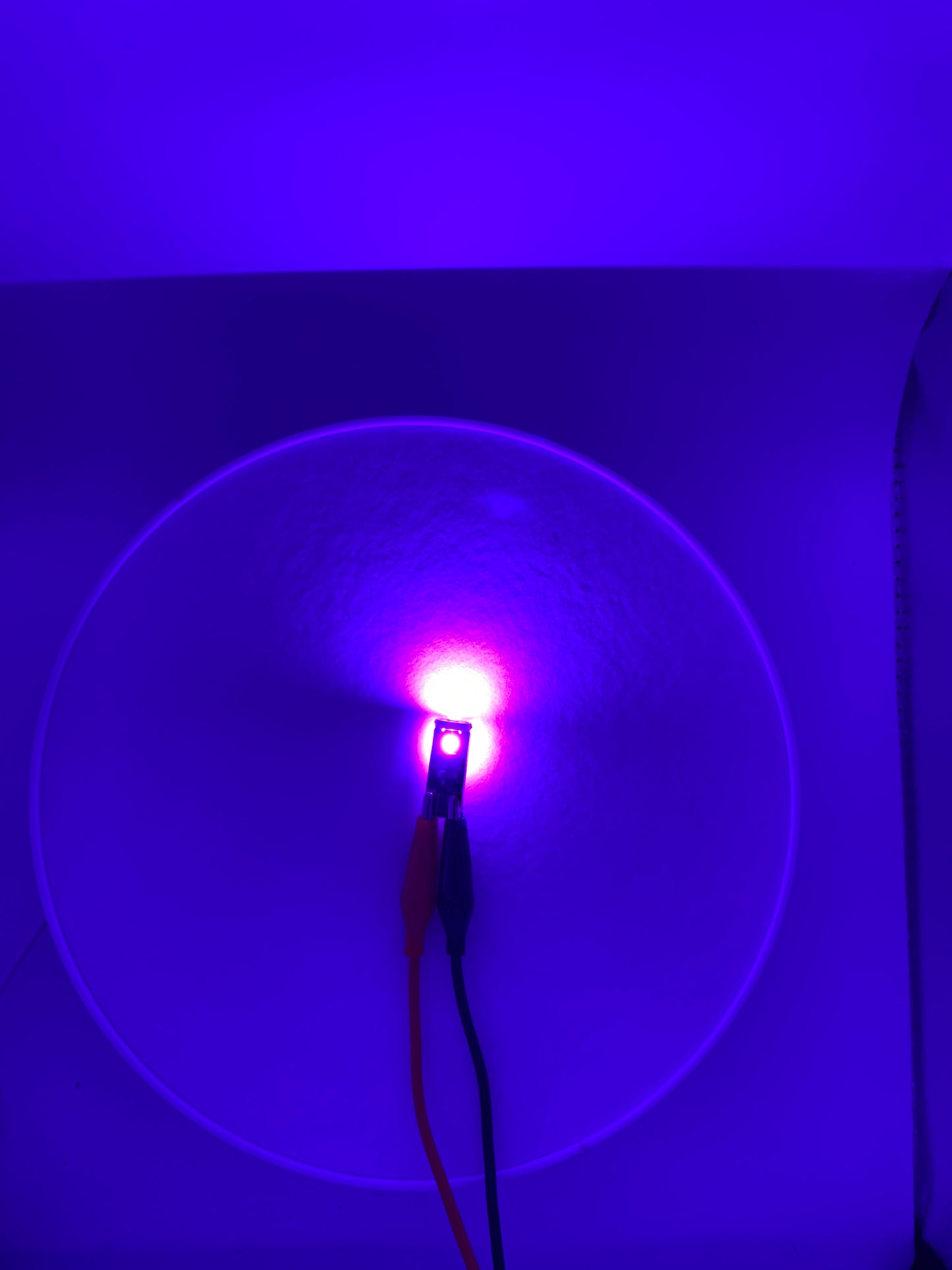 20Twenty Lighting T10 LED Bulbs