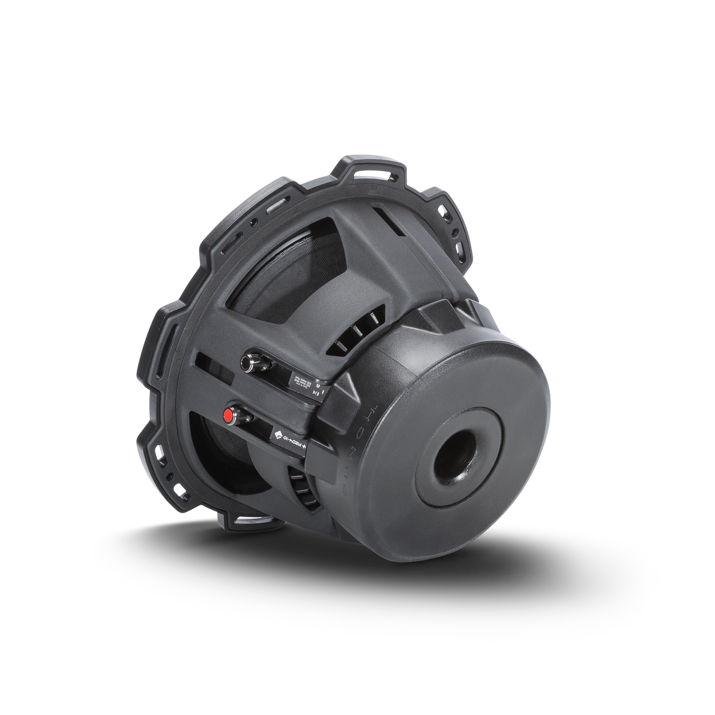 Rockford Fosgate P2D2-10